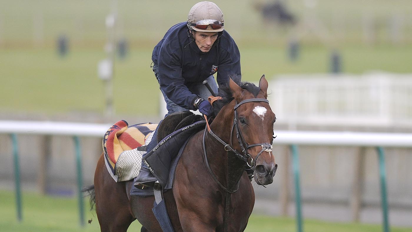 Shane Fetherstonhaugh riding Frankel gallop at Newmarket racecourse on October 10, 2012