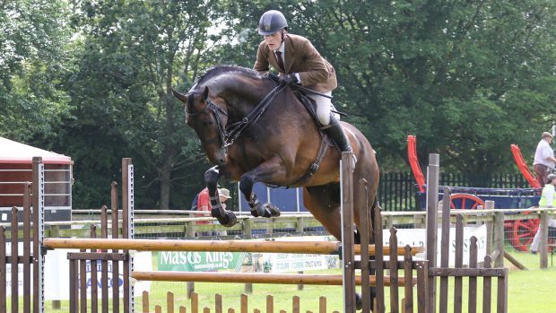 Ballycreen His Lordship at Devon County