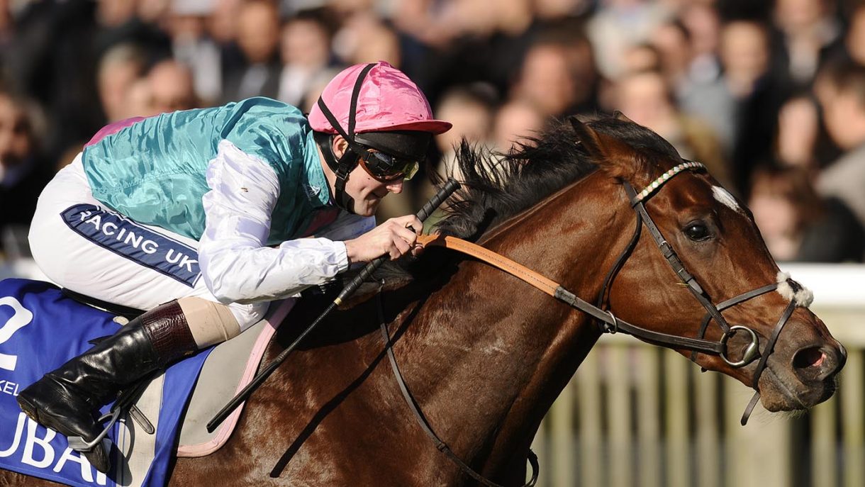 Dubawi and Frankel stud fees confirmed for 2023 season