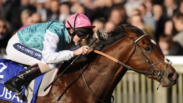 Tom Queally riding Frankel wins The Dubai Dewhurst Stakes at Newmarket 2010