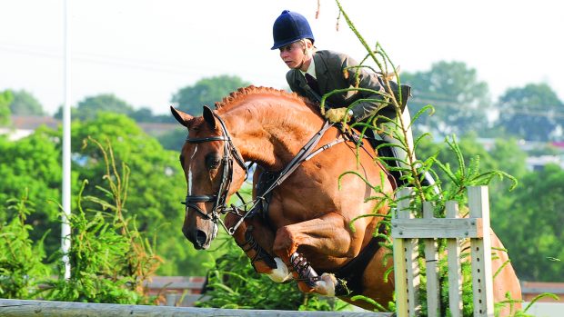 Louise Bell and Cruise Control in the lightweight working hunter champions at RIHS 2008
