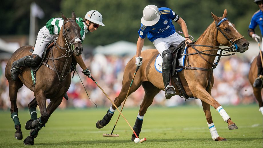 Polo at Cowdray Park