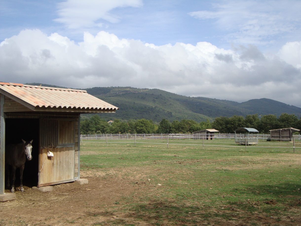 A yard in southeastern France with 19 stables, gallop track, staff