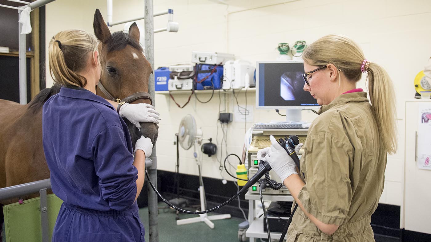 The challenges associated with getting horses fit and how to solve them
