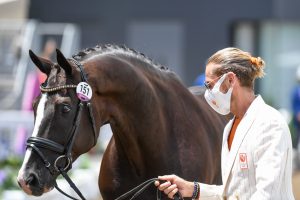 Tokyo Olympics dressage trot-up pictures: Edward Gal and Total US