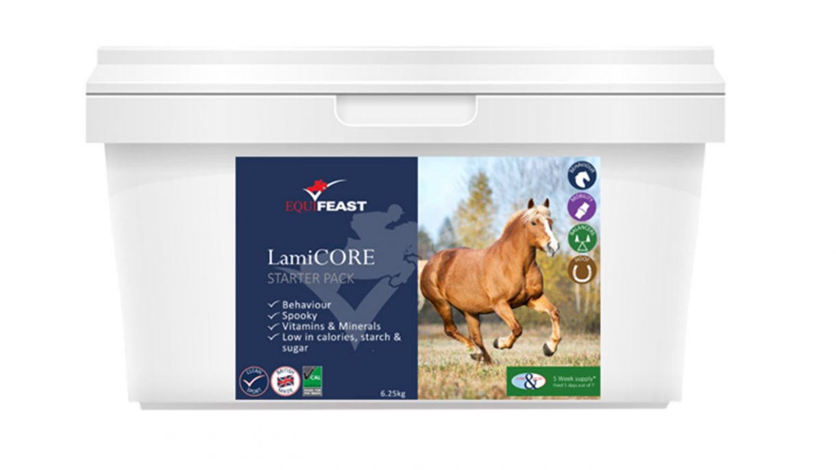 Laminitis supplements what are they? Horse & Hound