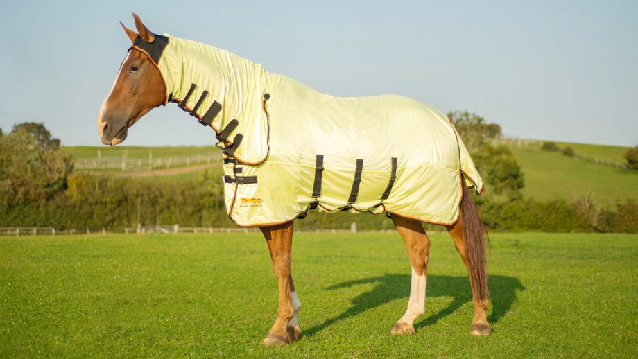 Equilibrium Field Relief fly rug