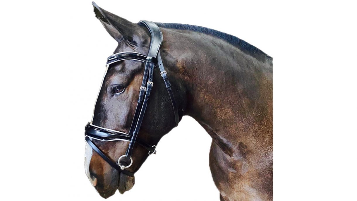 Best anatomical bridles for all budgets Horse & Hound
