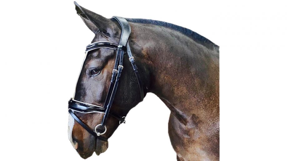 Best anatomical bridles for all budgets Horse & Hound