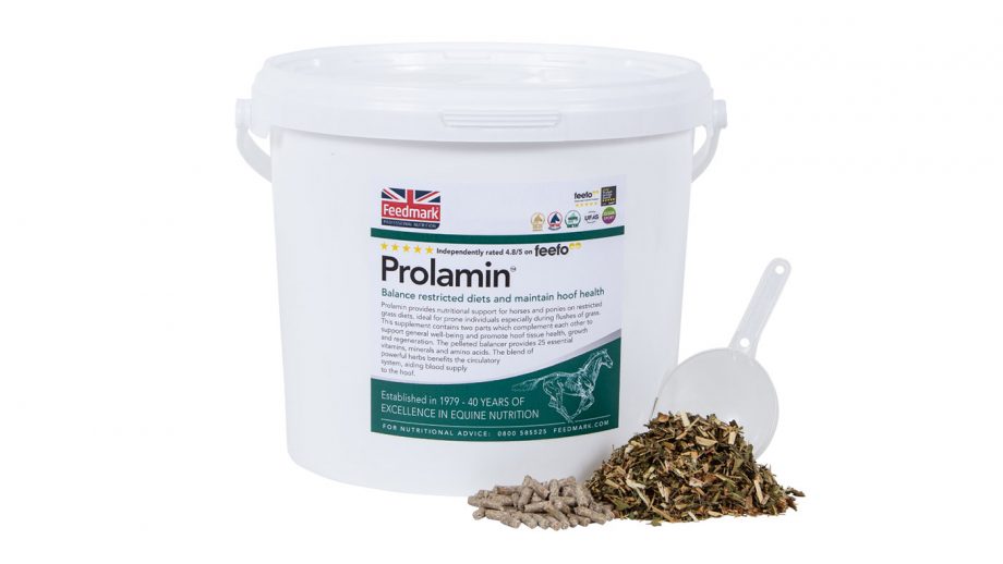 Laminitis supplements what are they and which is best? Horse & Hound