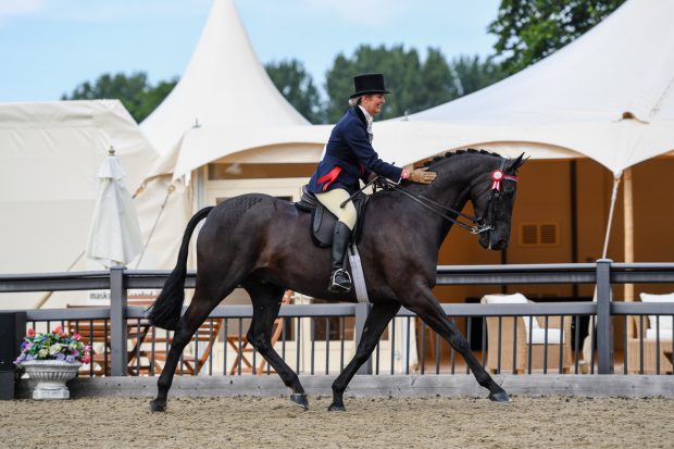 Forgelands Hyde Park and Sarah Walker are overall hack champions at the Royal Windsor Horse Show