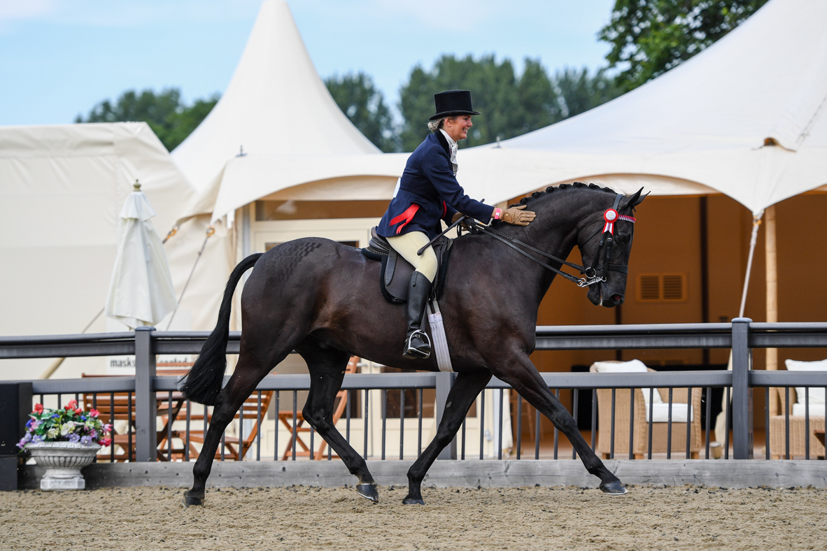 2021 Royal Windsor Horse Show Hack Results Horse Hound