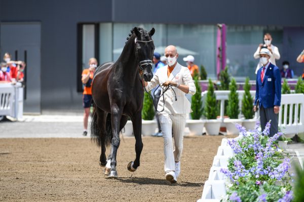 Tokyo Olympics dressage trot-up pictures