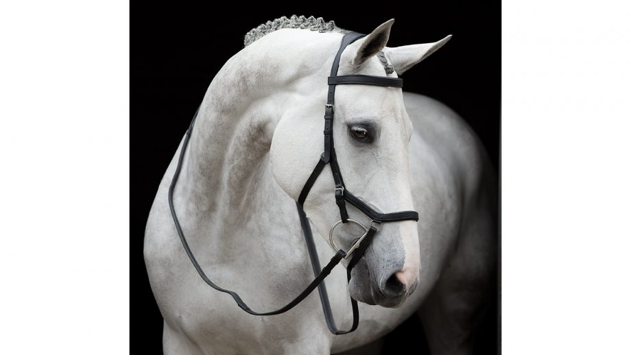 Best anatomical bridles for all budgets Horse & Hound