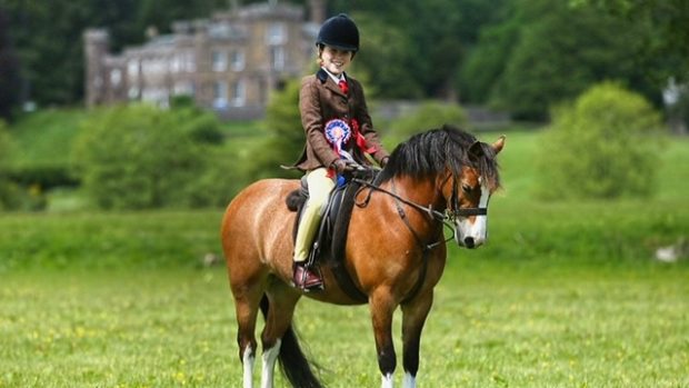 Jorgi Craigie qualified for the Royal International on her first attempt with Rhencullen Rockette