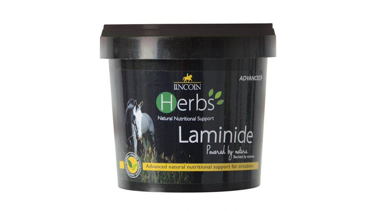 Laminitis supplements what are they and which is best? Horse & Hound