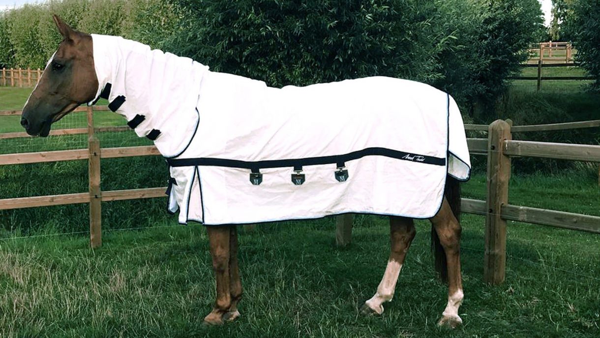 Best sweet itch rugs to help manage the condition Horse & Hound