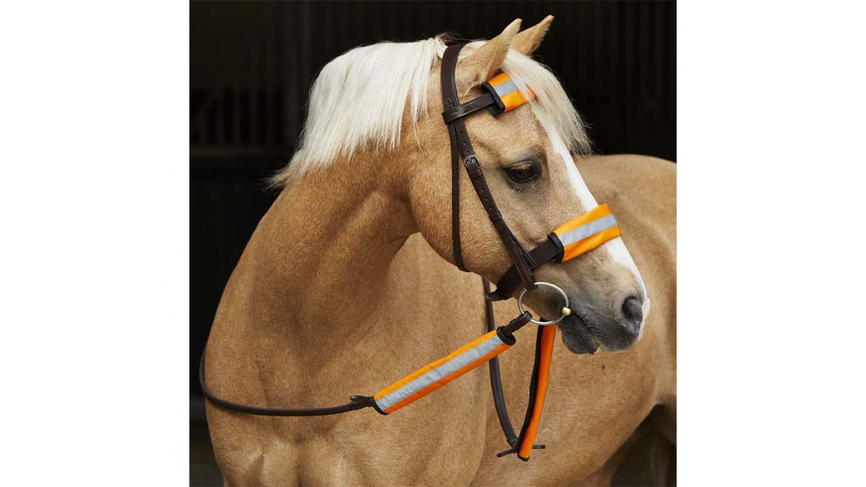 Best exercise sheets for horses in a range of styles Horse & Hound