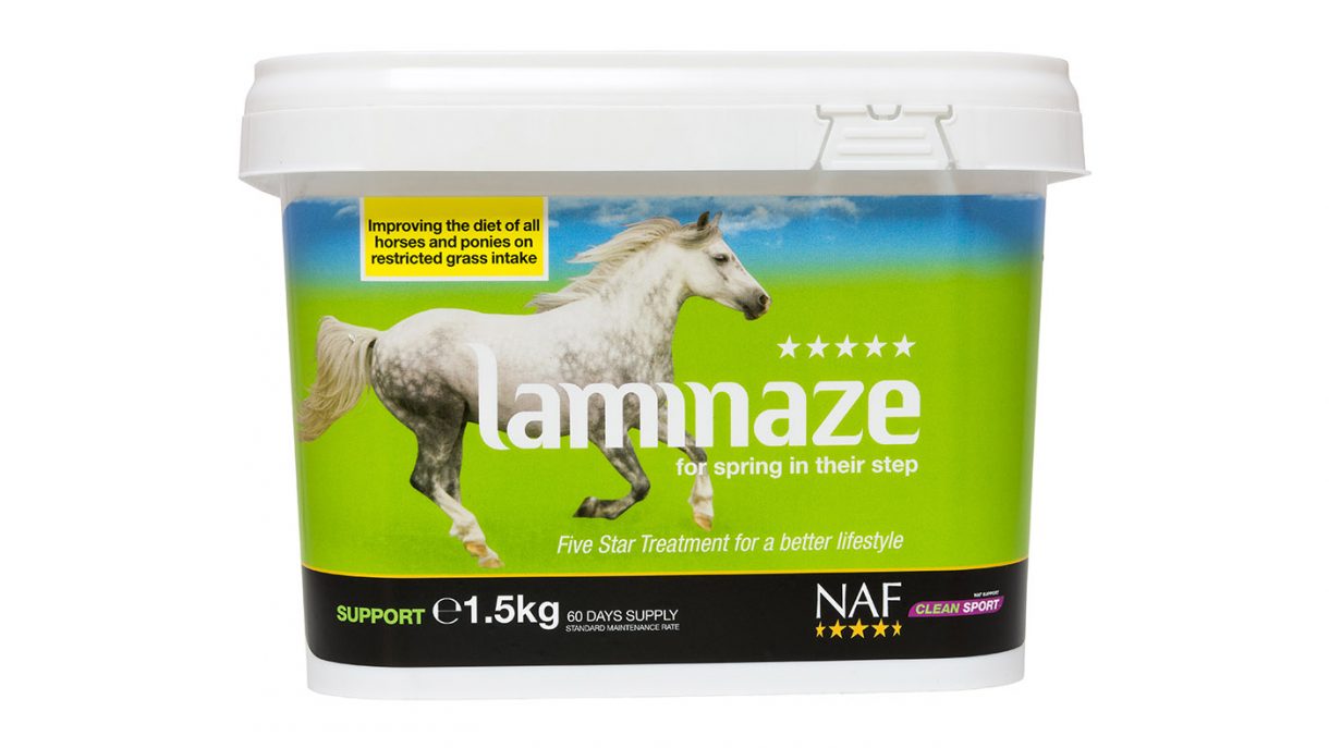 Laminitis supplements what are they and which is best? Horse & Hound