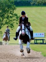 Natalie Chapples' maxi cob Aughoo Lad gallops up the Hickstead hill at the Royal International for the last time