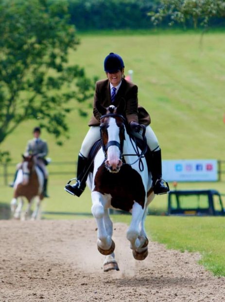 Natalie Chapples' maxi cob Aughoo Lad gallops up the Hickstead hill at the Royal International for the last time