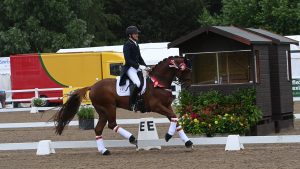 Hartpury CDI inter I