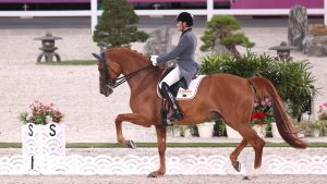 World Dressage Championships results José Antonio Garcia Mena and Divina Royal