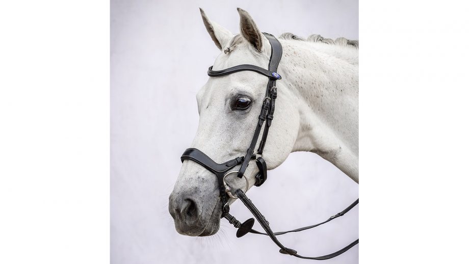 Best anatomical bridles for all budgets Horse & Hound