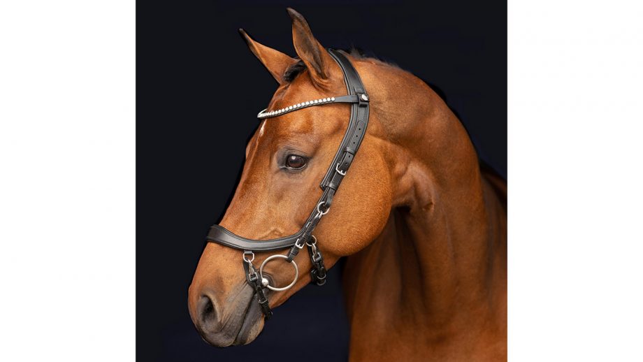Best anatomical bridles for all budgets Horse & Hound