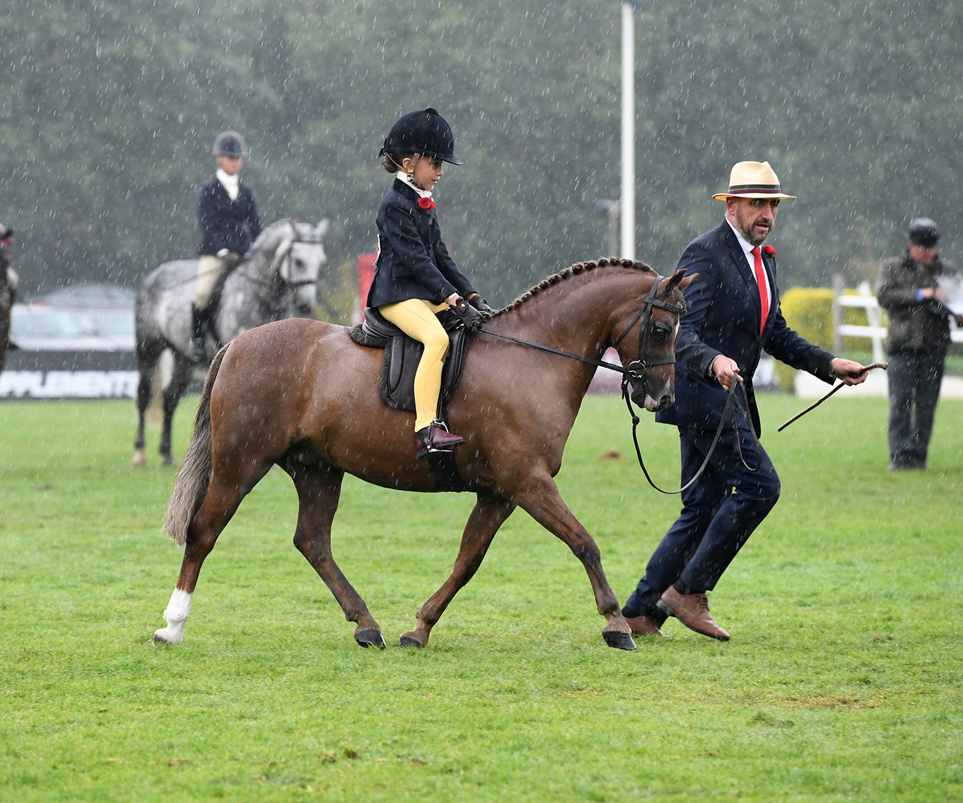 ‘He’s no longer the bridesmaid’ Lead rein pony ends run of seconds as