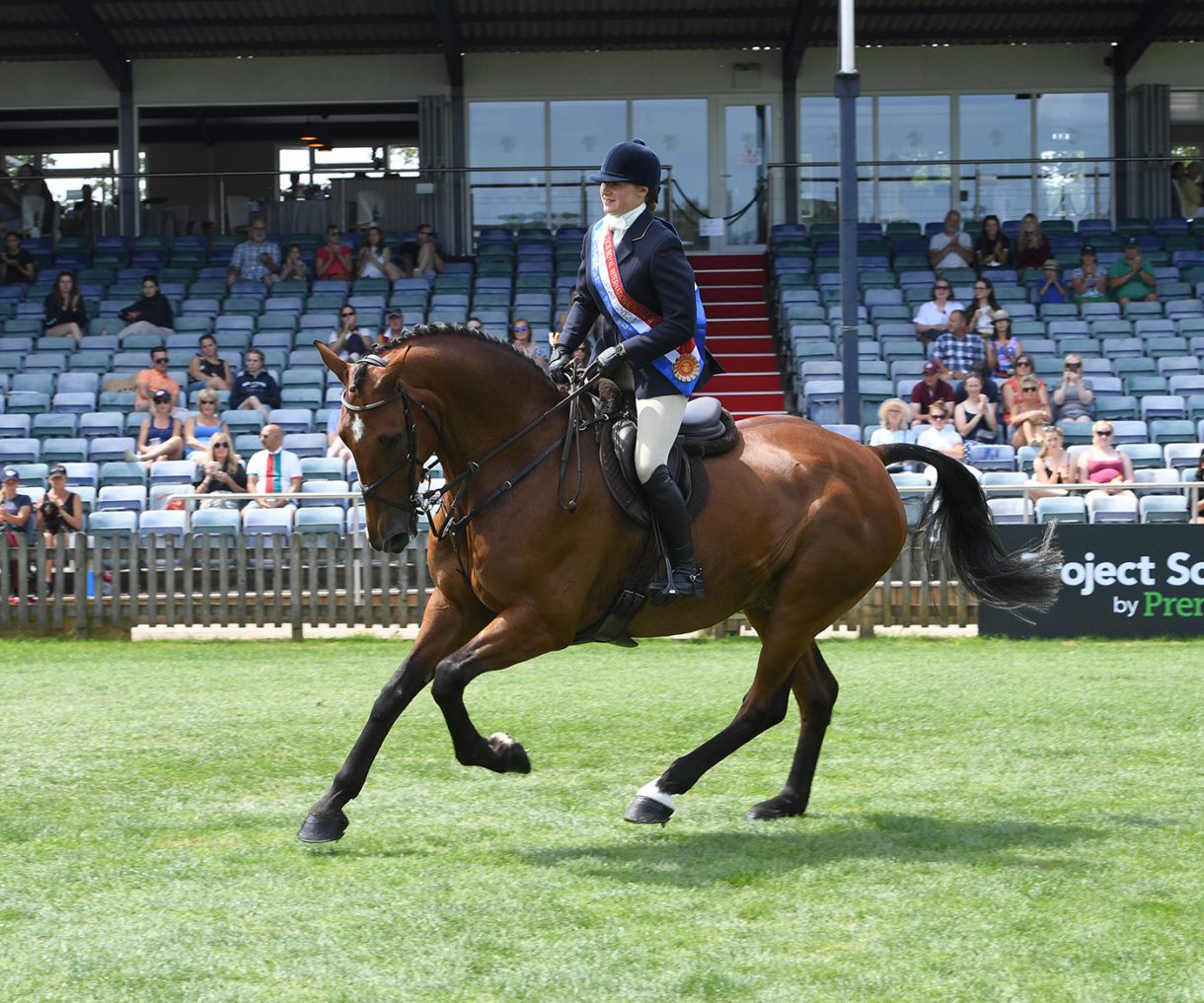 A guide to horse working hunter classes Horse & Hound