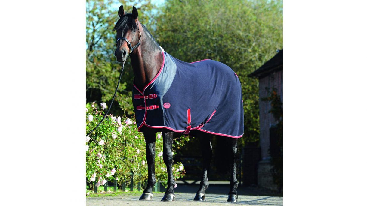 Types of horse rugs how to decide which rug your horse needs