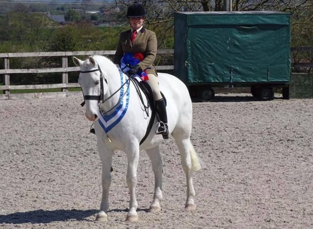 Robyn Butler qualified two horses for the Royal International, including Irish Draught Carrabawn Francis who heads to the amateur midddleweight hunters