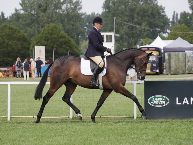 The Queen's Daydream III and Katie Jerram-Hunnable win their ridden sport horse class on day one of Royal Windsor
