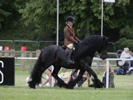 Nipna Midnight Rambler and Sarah Parker are M&M ridden champions at the 2021 Royal Windsor Horse Show