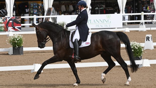 Hartpury CDI Sarah Higgins Alfranco