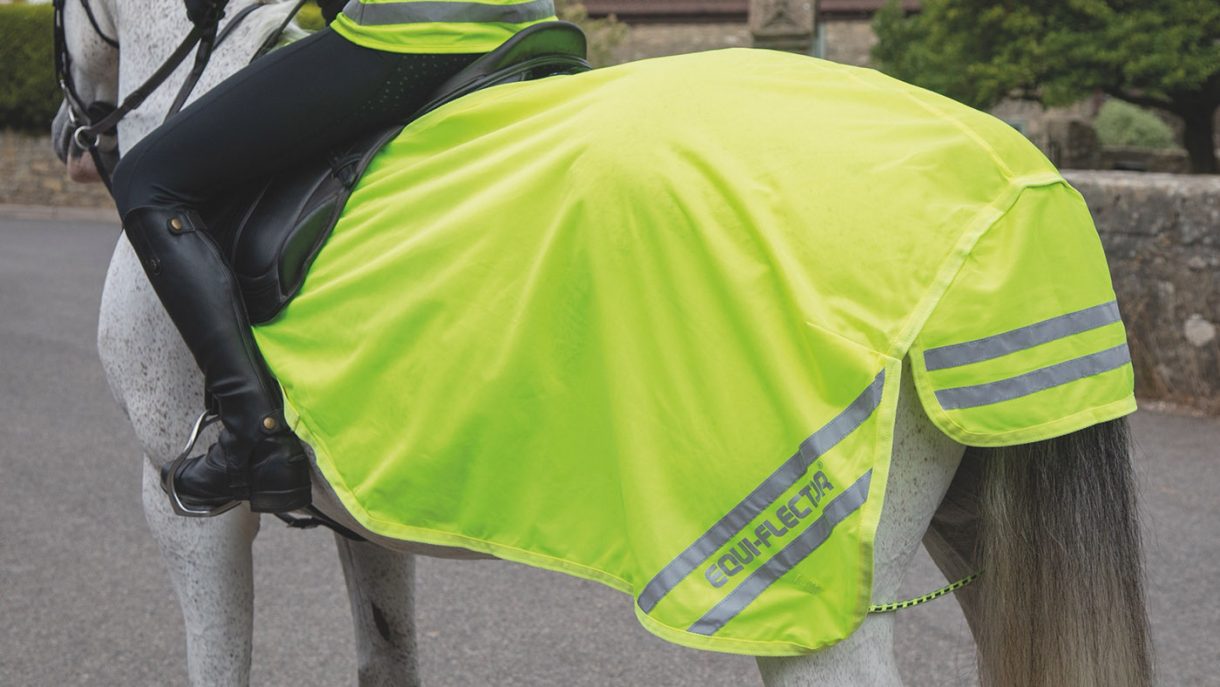 Hi viz for horses a wide range of options and ideas Horse & Hound