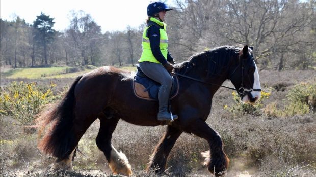 horse riders relay for charity
