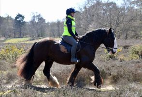 horse riders relay for charity