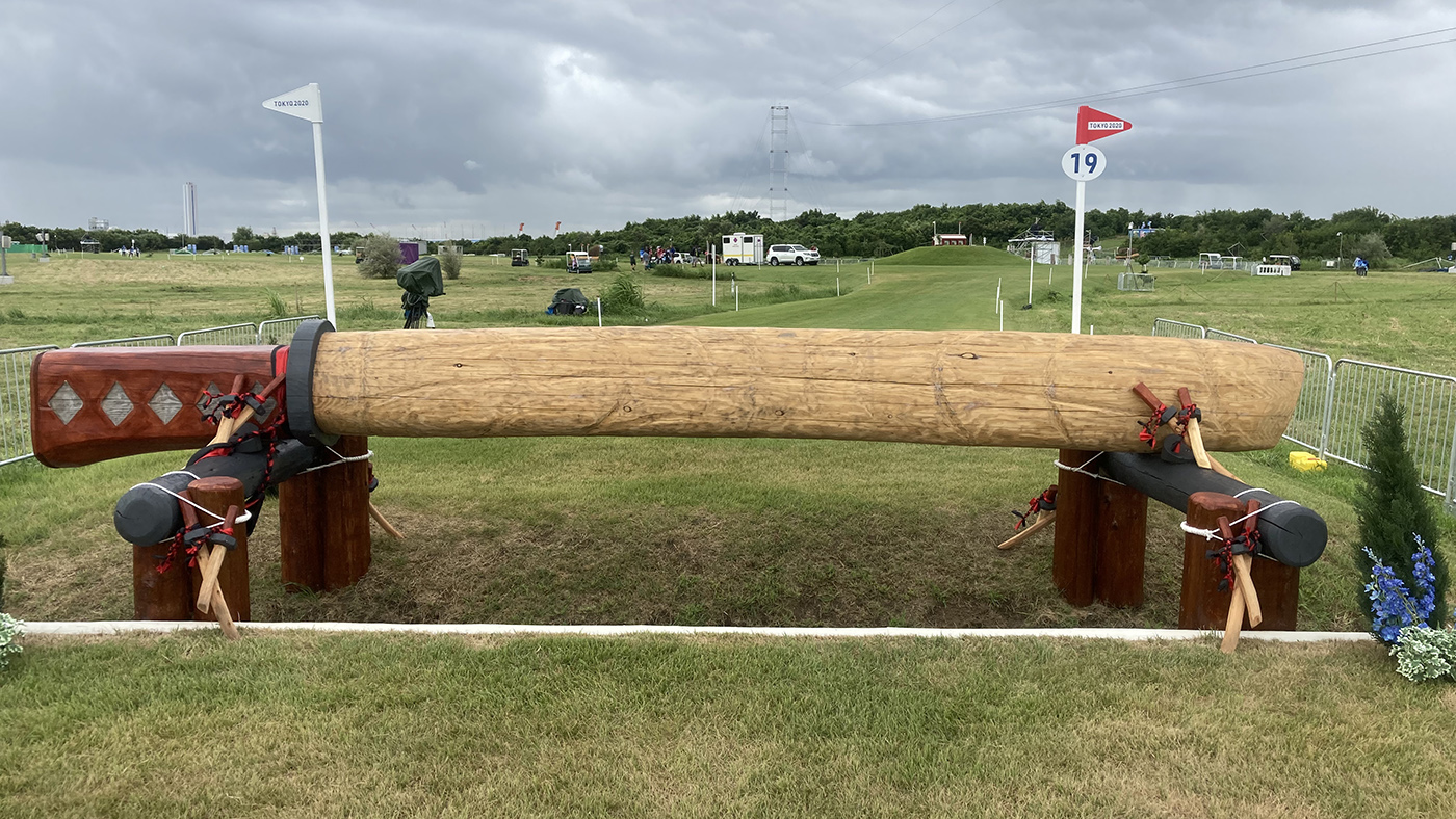 Olympics cross-country course: fence 19