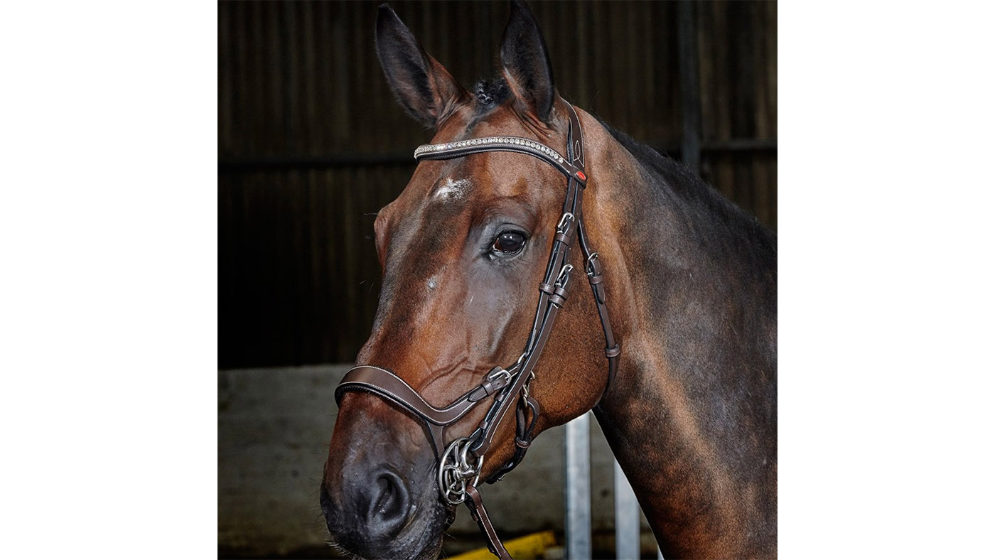 Whitaker Chicago Anatomic Breathable Bridle