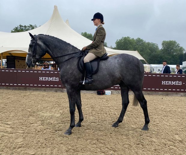 Alice Homer and Bloomfield President land a 5-strong four-year-old hunter class