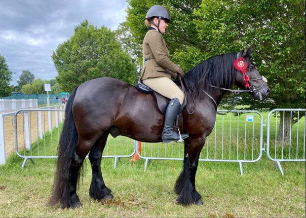 Greenholme Falcon and Chantelle Chapman score the m&m working hunter pony title at the 2021 Royal Windsor Horse Show