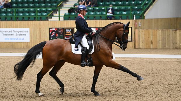 Hartpury CDI grand prix freestyle 2021 Richard Davison and Bubblingh
