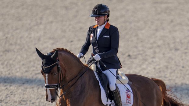 World Para Dressage Championships results: Sanne Voets on Demantur.