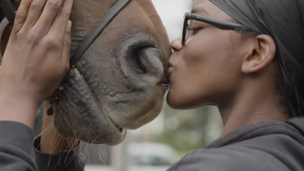 Tina Cook Ebony Horse Club