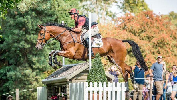 Matt Heath's five-star event horse The Lion has retired at the age of 19