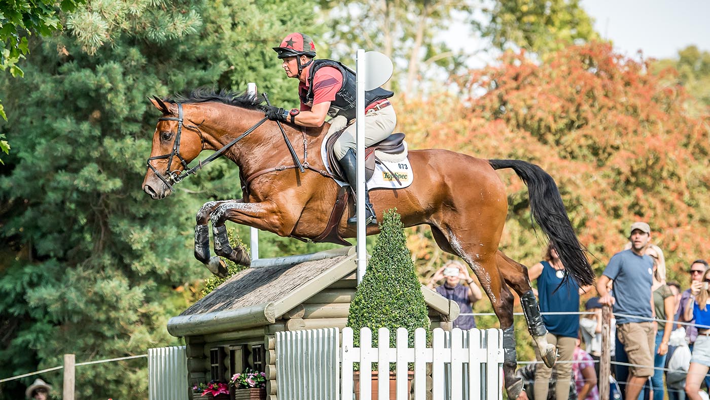 Matt Heath's five-star event horse The Lion has retired at the age of 19