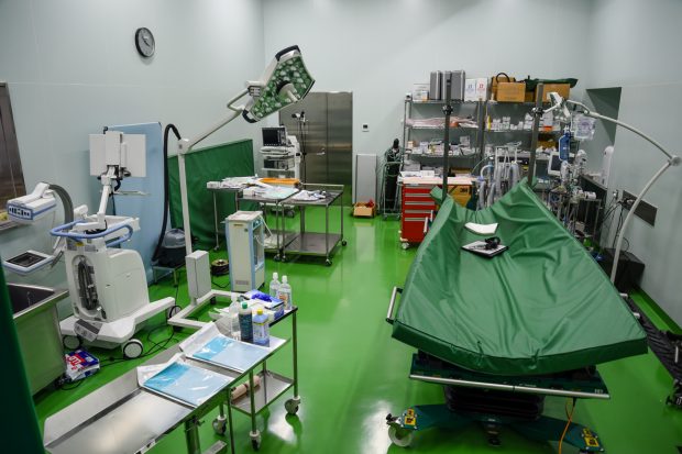 Tokyo Olympics vet clinic: surgery