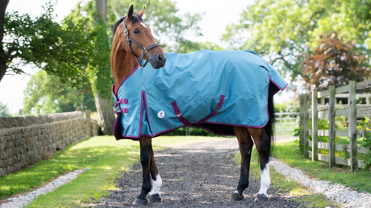 Derby House medium Combo Polka Dot turnout rug review review Horse